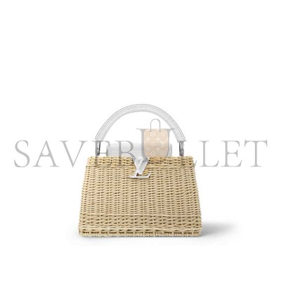 LOUIS VUITTON CAPUCINES BB N85520 (27*17*14cm) 